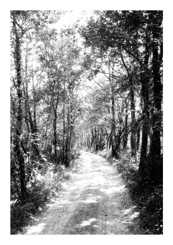 DO graphisme - photographie - la garde