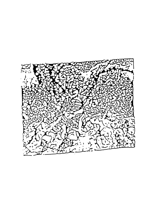 DO graphisme - identite - back to the future